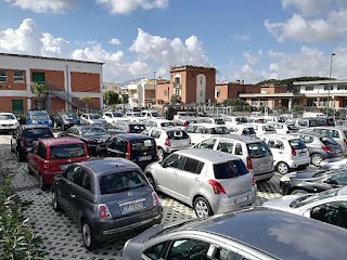 Auto Oggi Europa