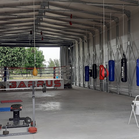 ASD Scuola Pugilistica Pomigliano, Pugilato, Boxe per bambini e adulti