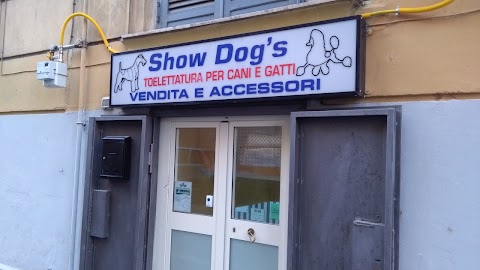 Show Dog's