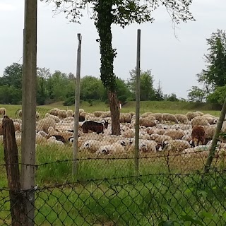 Agriturismo Le Cascine