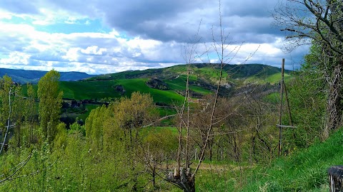 Agriturismo Ca' Monti