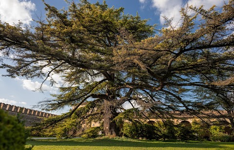 Castello di Roncade