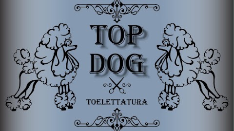 TOP DOG toelettatura