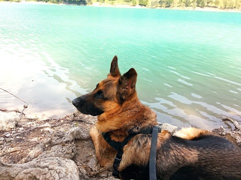 Lago di Tenno