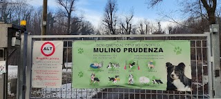 Centro Cinofilo Mulino Prudenza