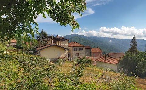 Azienda agricola Alta Valle