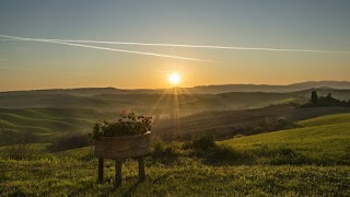 Cruises on the Road in Tuscany, by Riccardo Scarafoni