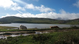 Lago Trearie