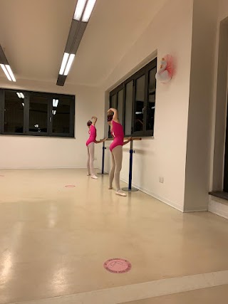 Little Swans Ballet Academy A.S.D.