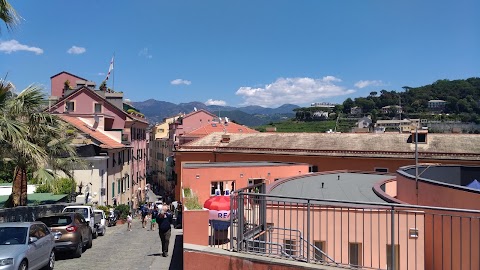 Teatro Arena Conchiglia