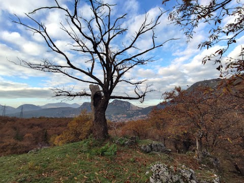 Sorgente del Pozzillo