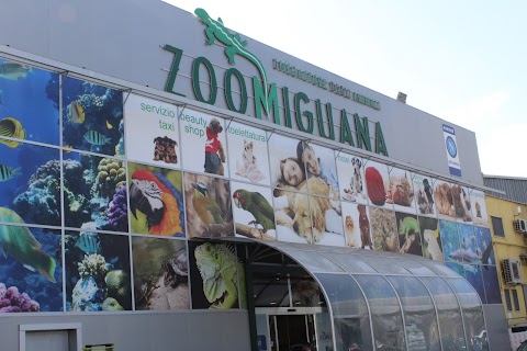 Zoomiguana Il Megastore Degli Animali