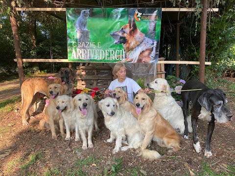 Pensione Cani e Gatti Cremona