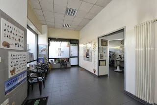 Ambulatorio Veterinario Associato Dr Ferrarese