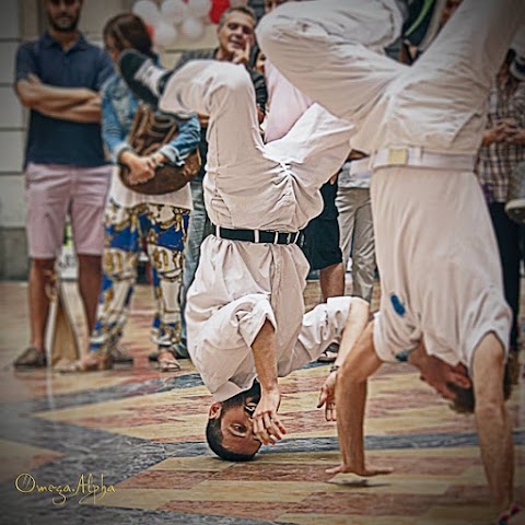 Capoeira Pavia Vigevano