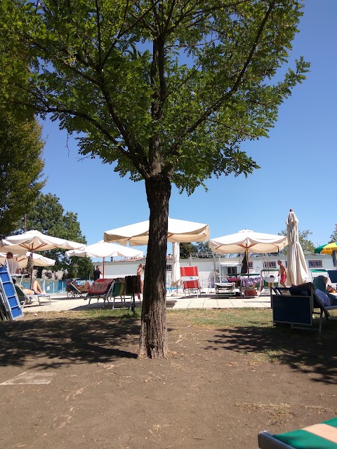 Piscina Comunale di Medicina