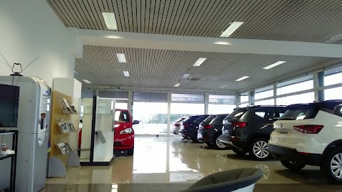 Service - Euganea Motori