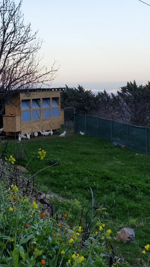 FATTORIA "IL PARROCO"