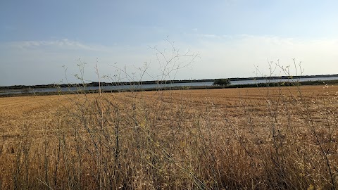 Oasi WWF Lago di Burano