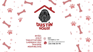 Dustin House, Bari - Pensione per cani a Bari, Hotel e Asilo per cani, Toelettatura e lavaggio self servicecani Puglia, Bari