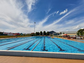 Società Sportiva Amatori Nuoto SSD