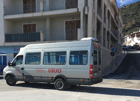 Urso Guglielmo Bus