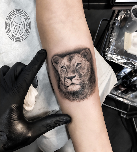 Sal Vaccaro Tattoo Studio