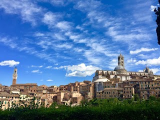 Siena Tourism