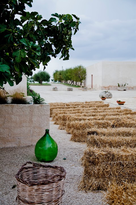 Masseria Fontana Di Vite