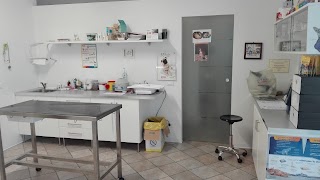 Ambulatorio Veterinario Bolzano Vicentino