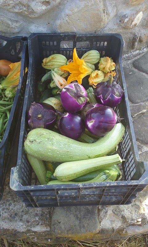 Nabucco Azienda Agricola