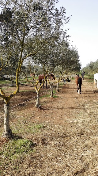 Agriturismo La corte dei Vescovi