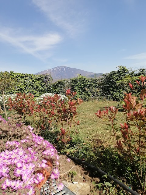 B&B Good Morning Etna