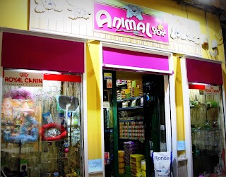 Animal store di Ippolito A.