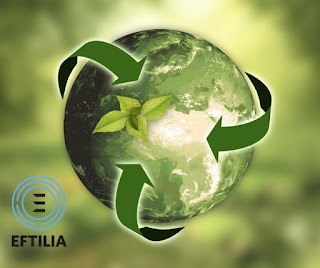 eftilia srl stp benefit