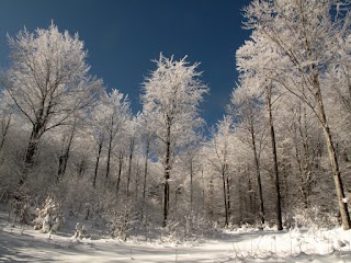 La valle delle albicocche