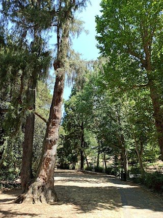 Area Cani Scuderie di Porta Romana