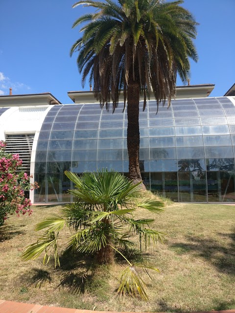 Azienda ospedaliero-universitaria Meyer