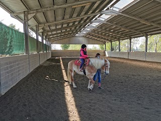 CENTRO IPPICO ALLEVAMENTO VILLA ROSA