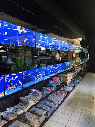 Zoomegastore Giussano