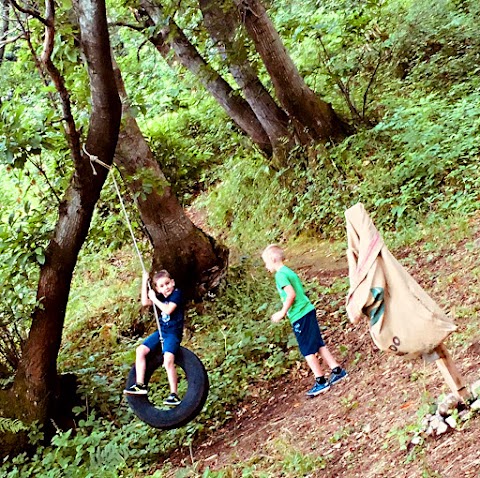 Scuola nel Bosco di Siano