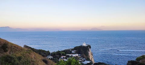 Vivere Napoli