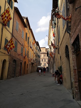 Siena Walking Tours with Costanza