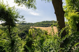 Antico Podere San Luca