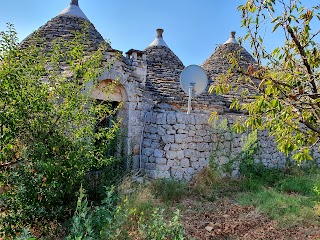 Masseria Sacerdote Di Marta Piccone Bed And Breakfast