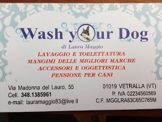 Wash Your Dog