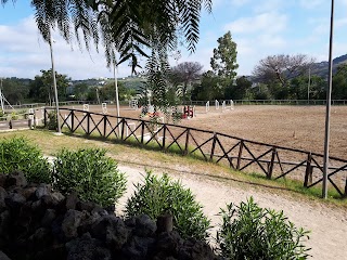 Centro Ippico Montenuovo - Scuola equitazione - Passeggiata a cavallo - CIM