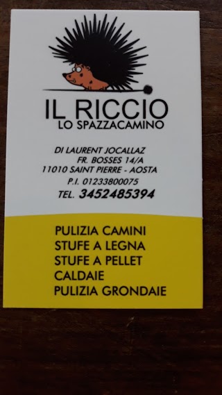 Il riccio spazzacamino