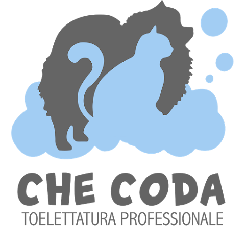 CHE CODA Toelettatura Professionale - Orbassano TO