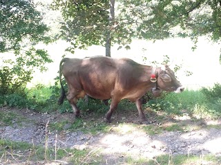 Azienda Bio Agrituristica I Taufi